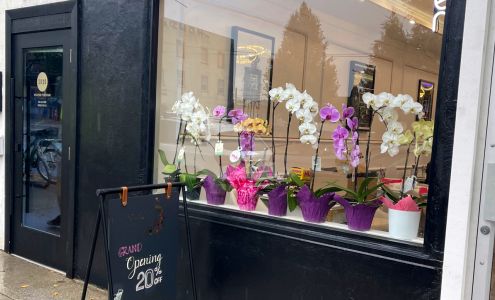 Nailed it Beauty Spa 3463 Main St, Vancouver British Columbia V5V 3M9