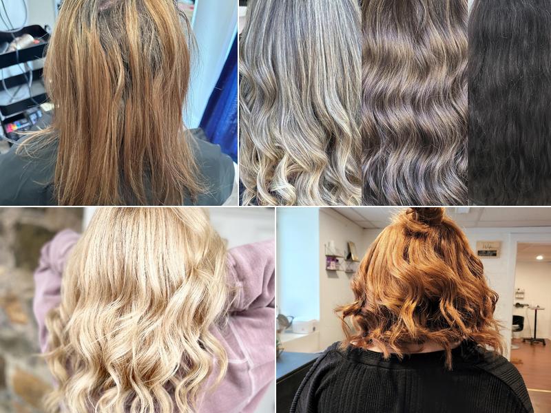 Elite Designs Studio