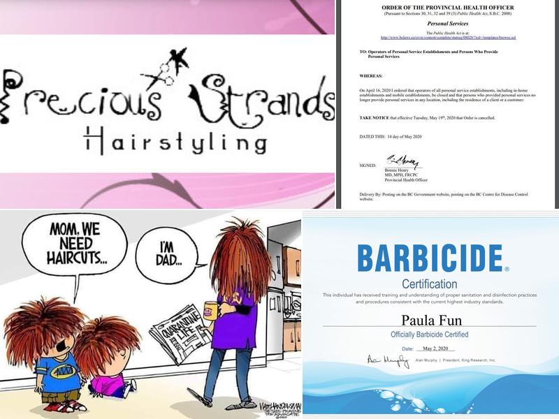 Precious Strands Hairstyling