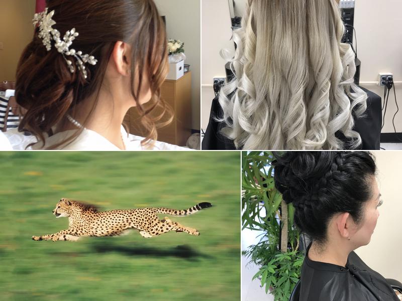 Shear delight hair salon