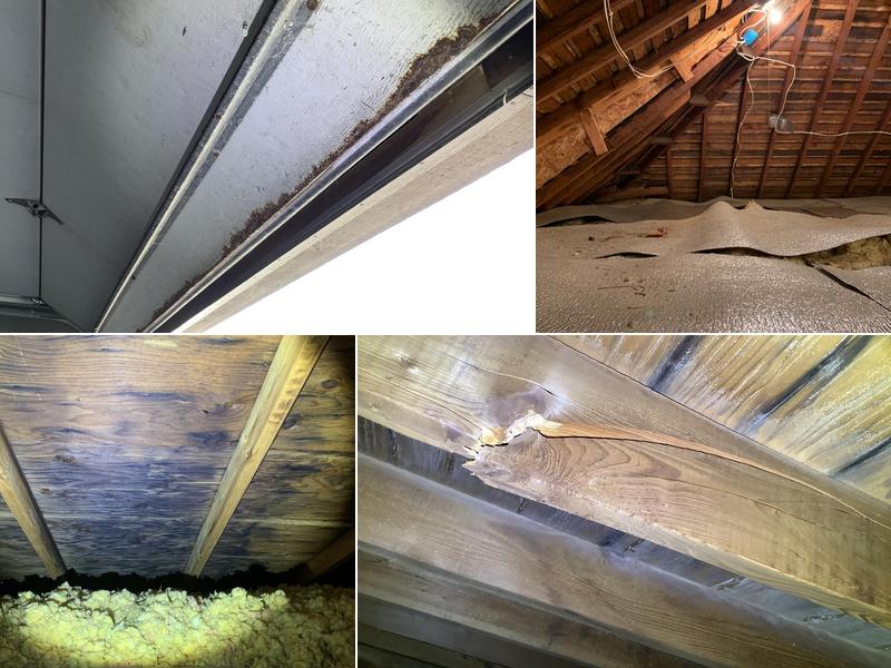 MJ Home Inspection Services, Inc.