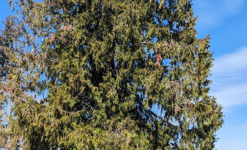 Beyond Reiki Wellness