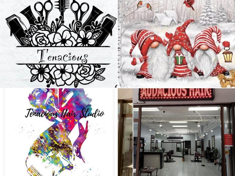 Audacious Hair Studio