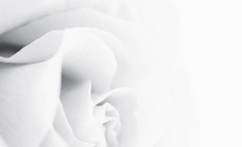 Marie Josee Hair & Esthetics 1377 MacLean Dr, Timmins Ontario P4N 7C3