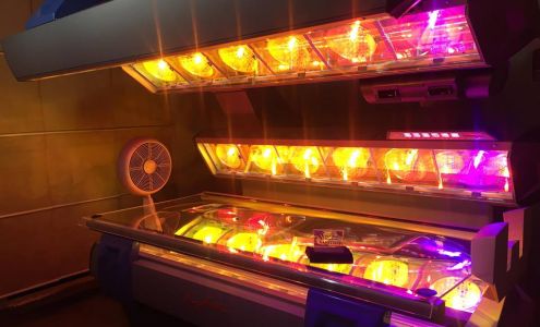 Egyptian Gold Tanning Salon
