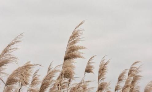 Esthetique Fleur De Peau 471 Av. Principale, Dégelis Quebec G5T 1L6