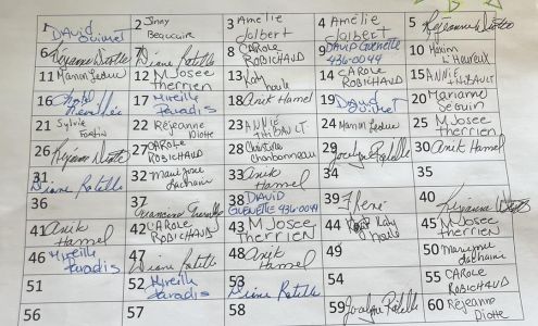 Bronzage Le Plus 454 Rue du Pont, Mont-Laurier Quebec J9L 2R9