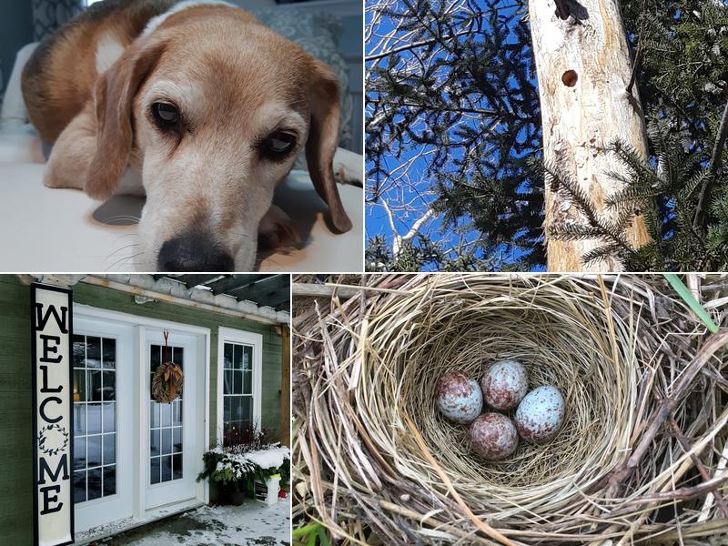 Gallagher Tracey Esthetics