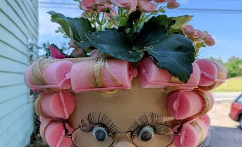 Looking Glass Salon 156 Highland St, Haliburton Ontario K0M 1S0