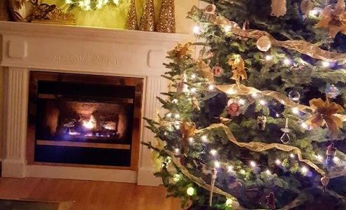 Ann Noddin's Hair Studio 2575 Kline St, Halifax Nova Scotia B3L 2X6