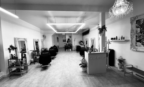 Olympus Hair Studio