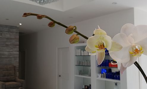 Revive Skin Clinic & Boutique