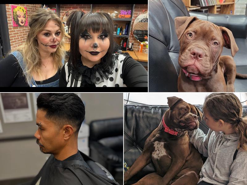 Mullets Barber Shop Blackfalds