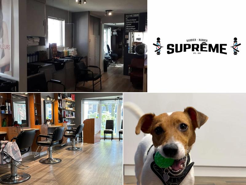 Supreme Barber MTL Barbier Suprème