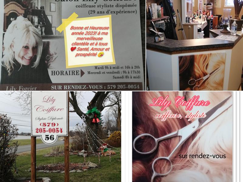 Salon Lily Forcier Coiffure