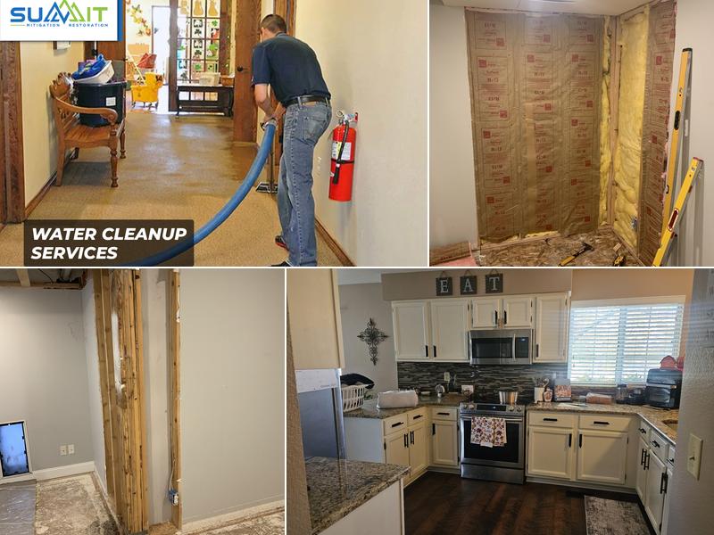 Summit Mitigation Restoration