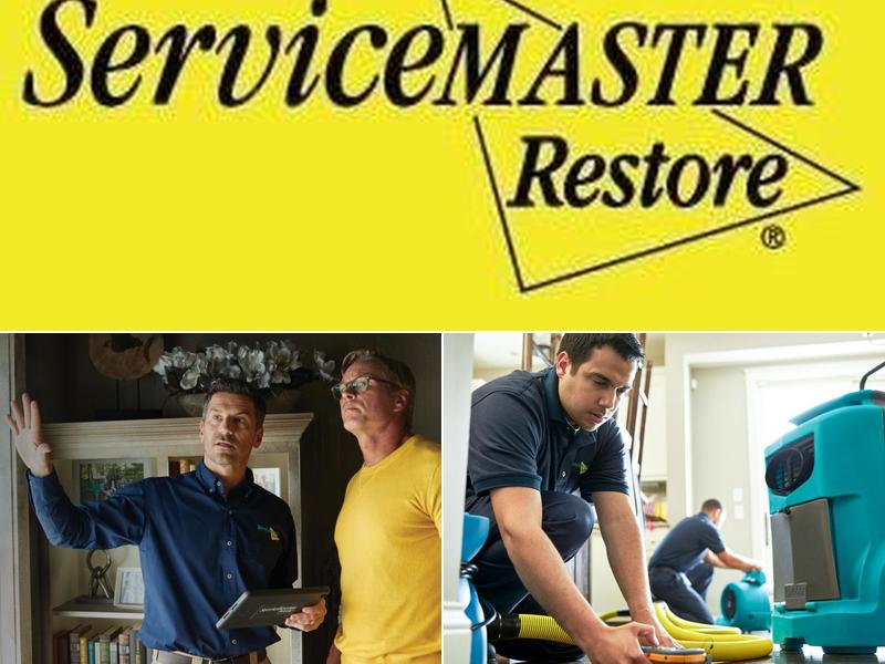 ServiceMaster Restoration Services - Auburn