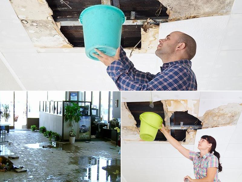 Mr. Leak Detection of Auburn