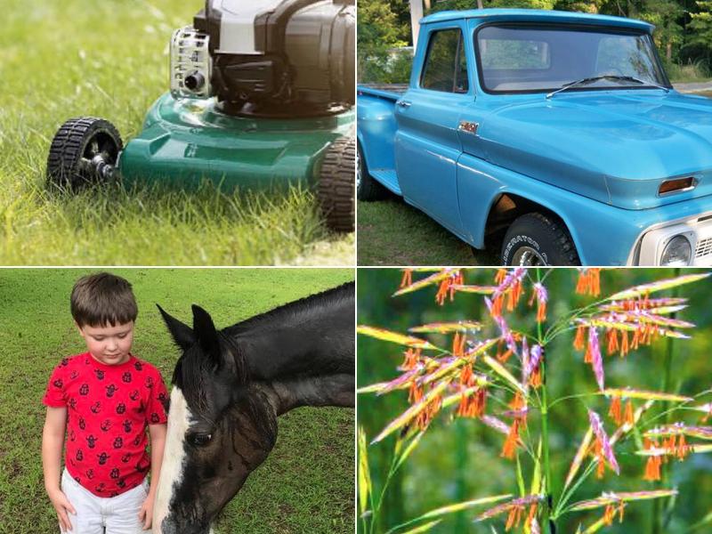 Wayne's Lawn Service #1