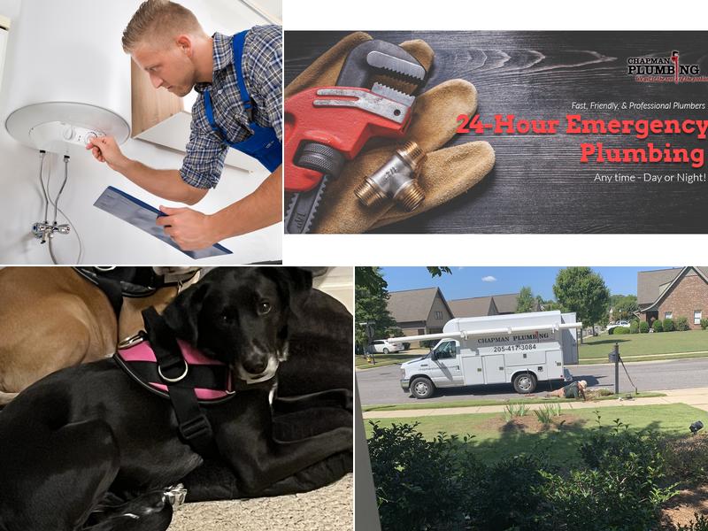 Chapman Plumbing