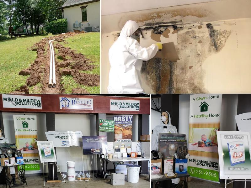 Mold & Mildew Solutions, LLC