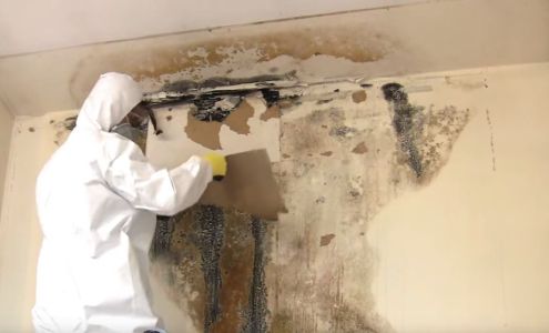 Mold & Mildew Solutions, LLC