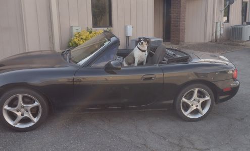 Healthy Lawns & Shrubs Inc