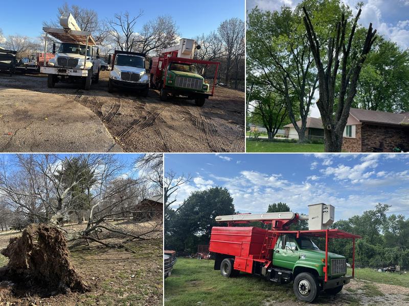 Matias Lawn & Tree Service