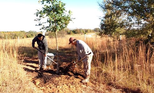Rodebush Construction