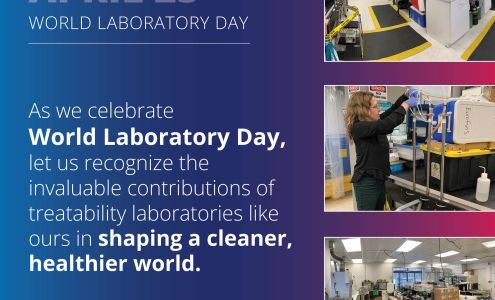 Loureiro Building Construction