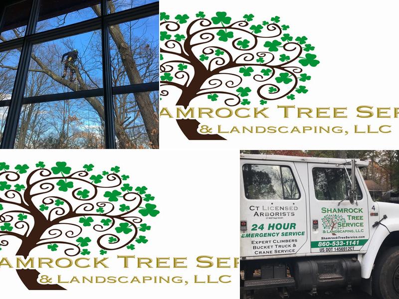 Shamrock Tree Services LLC