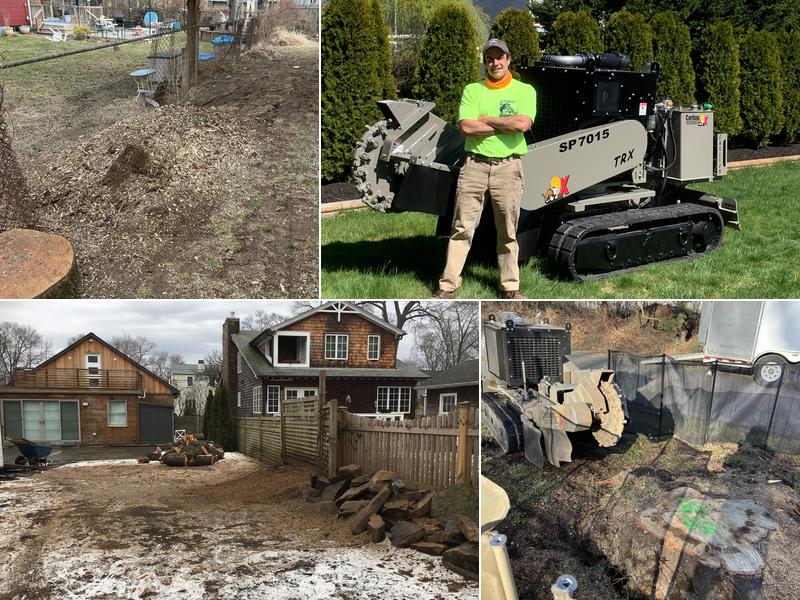 Stump Shark Stump Grinding
