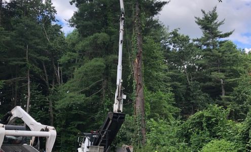 Natural Systems Tree Service