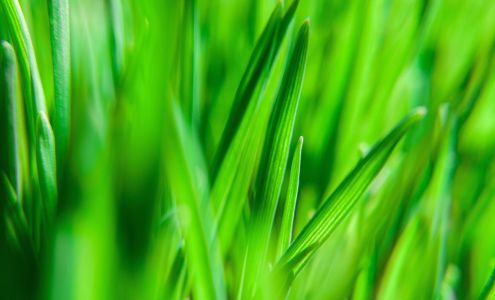 Stewart Bros. Turf, LLC