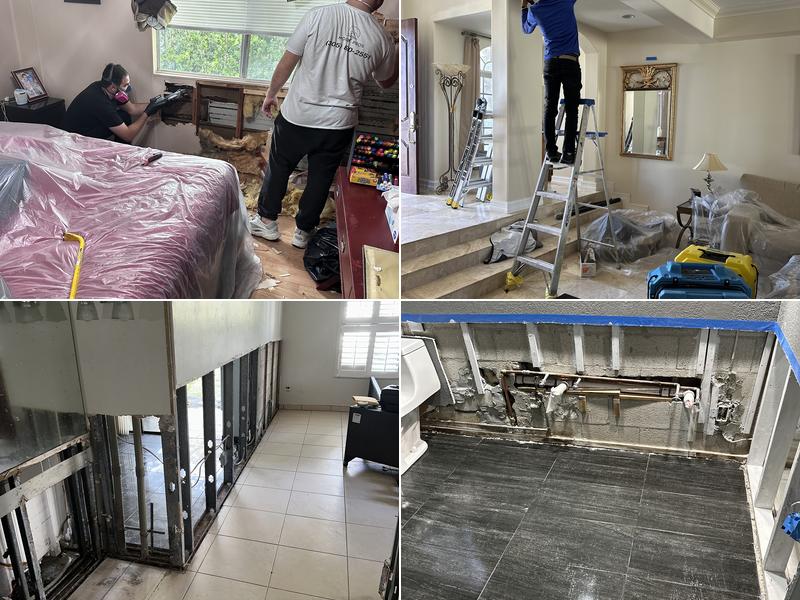 Moldx Pros - Mold Inspection, Removal & Remediation