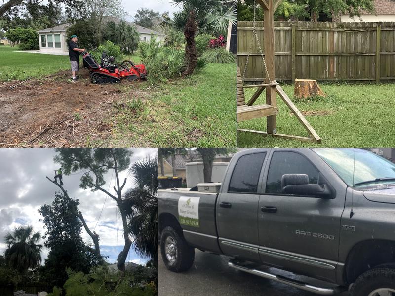 A+Trees & Stump Grinding