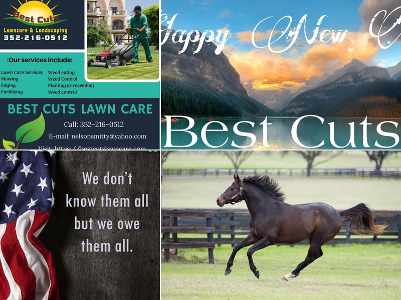 Best Cuts Lawn Care and Landscaping