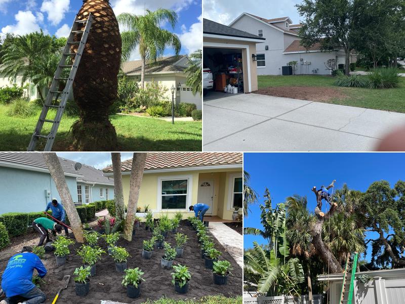 Luis Lopez Tree Services