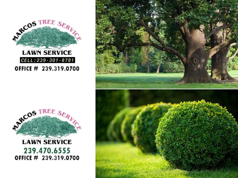 Marcos Lawn and Tree Service Inc