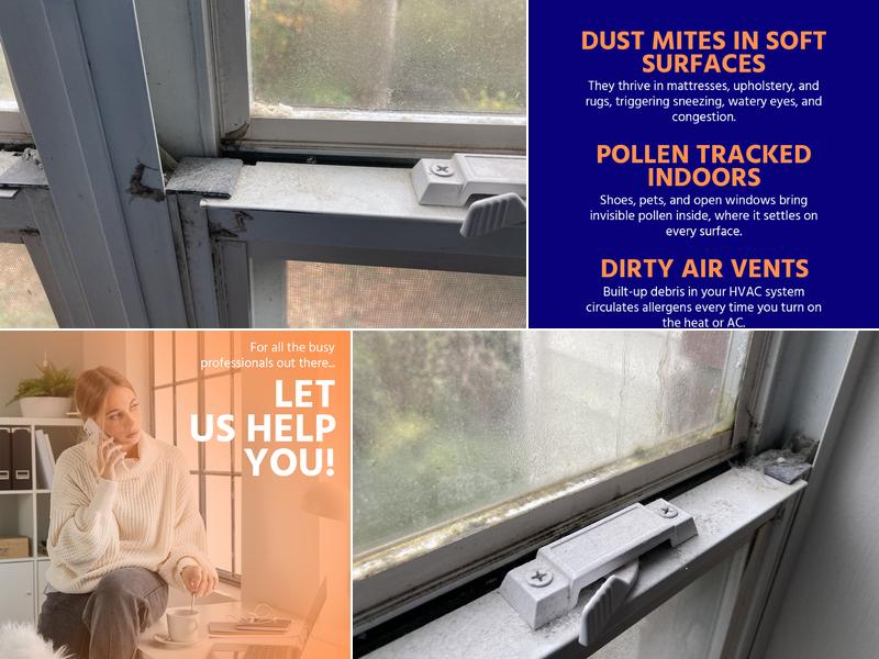 Pristine Cleaning & More, L.L.C