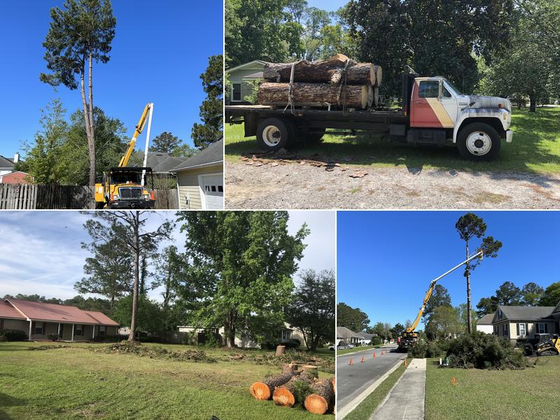 Apex Tree Removal and Trimming, LLC