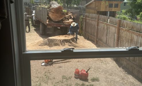 Jose's Tree Services 1017 Blaine Ave, Idaho Falls Idaho 83402