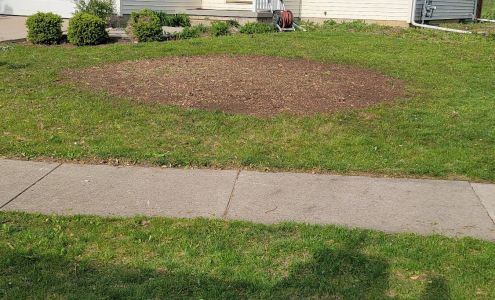 Stewie's Stump Removal LLC of Central Illinois