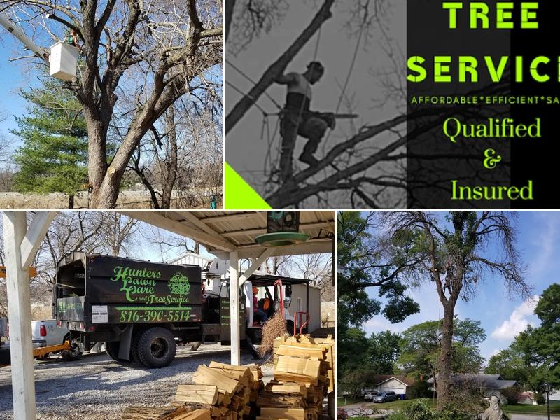 Hunter Tree Service