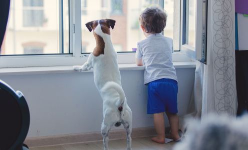 True Crew Windows and Doors