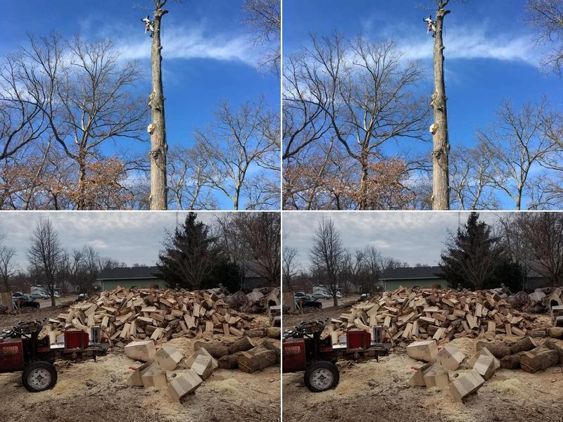 Gillette/Duling Tree & Landscape