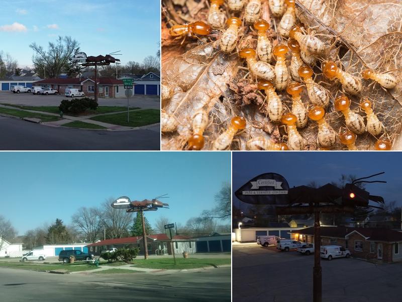 Certified Pest & Termite Control