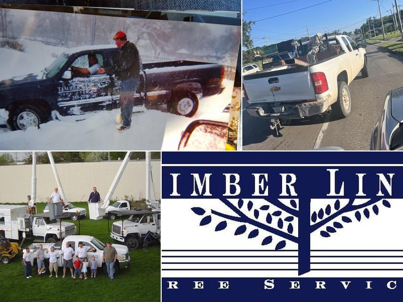 Timberline Tree Service