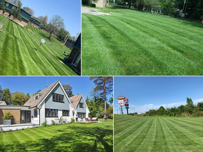 Rivera's Landscaping and Lawn Services LLC