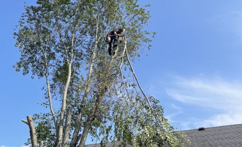 Shepherds Lawn And Tree Service LLC